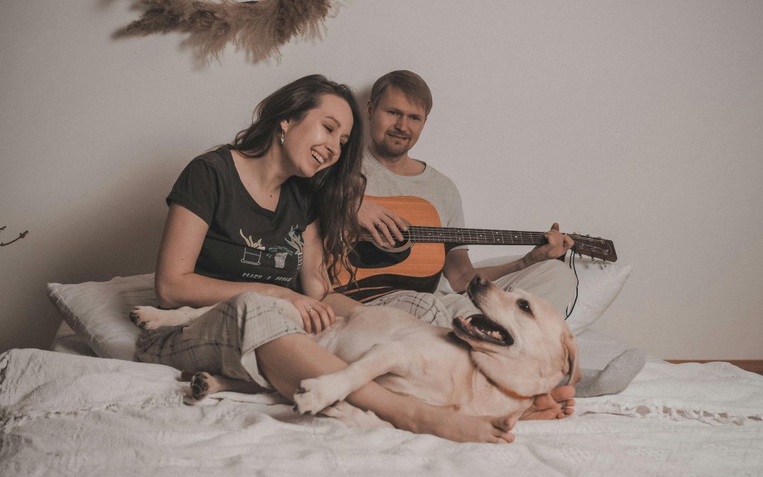 Music Designed for Dogs for Anxiety Problems