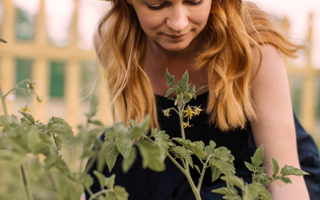 The Ultimate Guide to Creating a Self-Sufficient Backyard